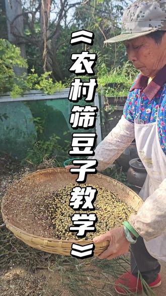 你会筛筛筛吗?还是你会筛点别的?#新农人计划 #我的农村生活 #我的乡村生活 #农村