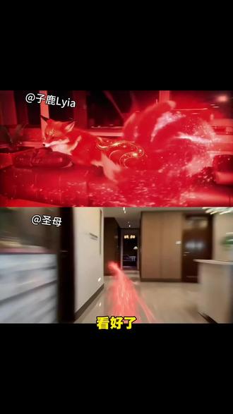 你们在找到狐狸变人特效制作教程来啦#即梦AI #我的AI分身杀疯了 #AI分身戏精大赛 #狐狸变人特效 #动物变人特效 狐狸变人转场特效蛇变人a动物拟人化ai蛇变人特效制作动物幻化成人形转场动物变人转场豹子动物变人ai指令动物变人特效ai变人特效制作动物变人ai指令 动物变人ai指令 蛇女变身 蛇女拍照姿势 蛇幻影美女 蛇变人转场 狐狸变人转场 豹子变人转场 我看见了你的风尘a狐狸化形模板 动物变人转场教程 狐狸变人特效教程 动物变人转场特效软件 狐狸变人转场 狐狸变人专场原视频