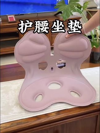 【日常168今天68】BKI人体工学护腰坐姿椅矫正学习办公久坐神器撑背