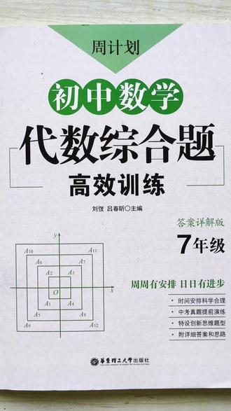 初中数学代数综合练习#数学思维#解题技巧教辅书推荐#尖子生培优
