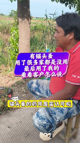 锚头蚤用后真实反馈,好产品用一次就知道#水产养殖 #水产人 #同城 #真实记录拍摄