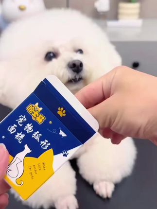 #宠物排梳 #哈士基猫狗宠物小面梳圆头弧形排梳针梳疏通毛发不打结清洁便携#萌宠好物@抖音小助手
