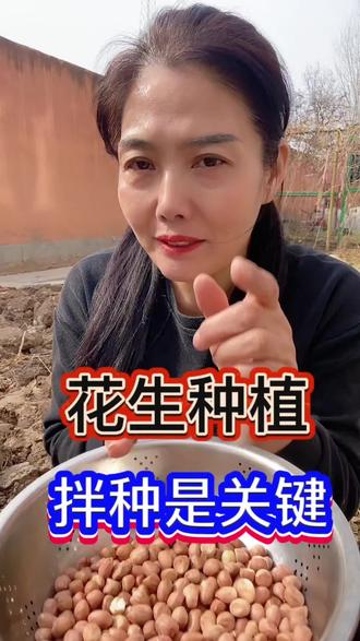 种花生前先拌种 出苗齐出苗壮 减少病虫害#种花生 #花生 #花生管理#花生防病 #花生种植