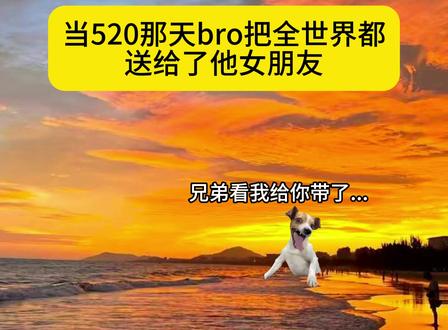 你送她全世界了我住哪? #520 #精神状态belike #从你的全世界路过 #猫meme日常