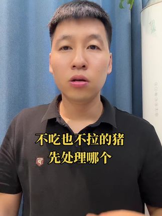 不吃也不拉的猪,先处理不吃,还是先处理不拉#猪不吃 #猪拉干粪球怎么办 #养猪人加油干 #养猪人