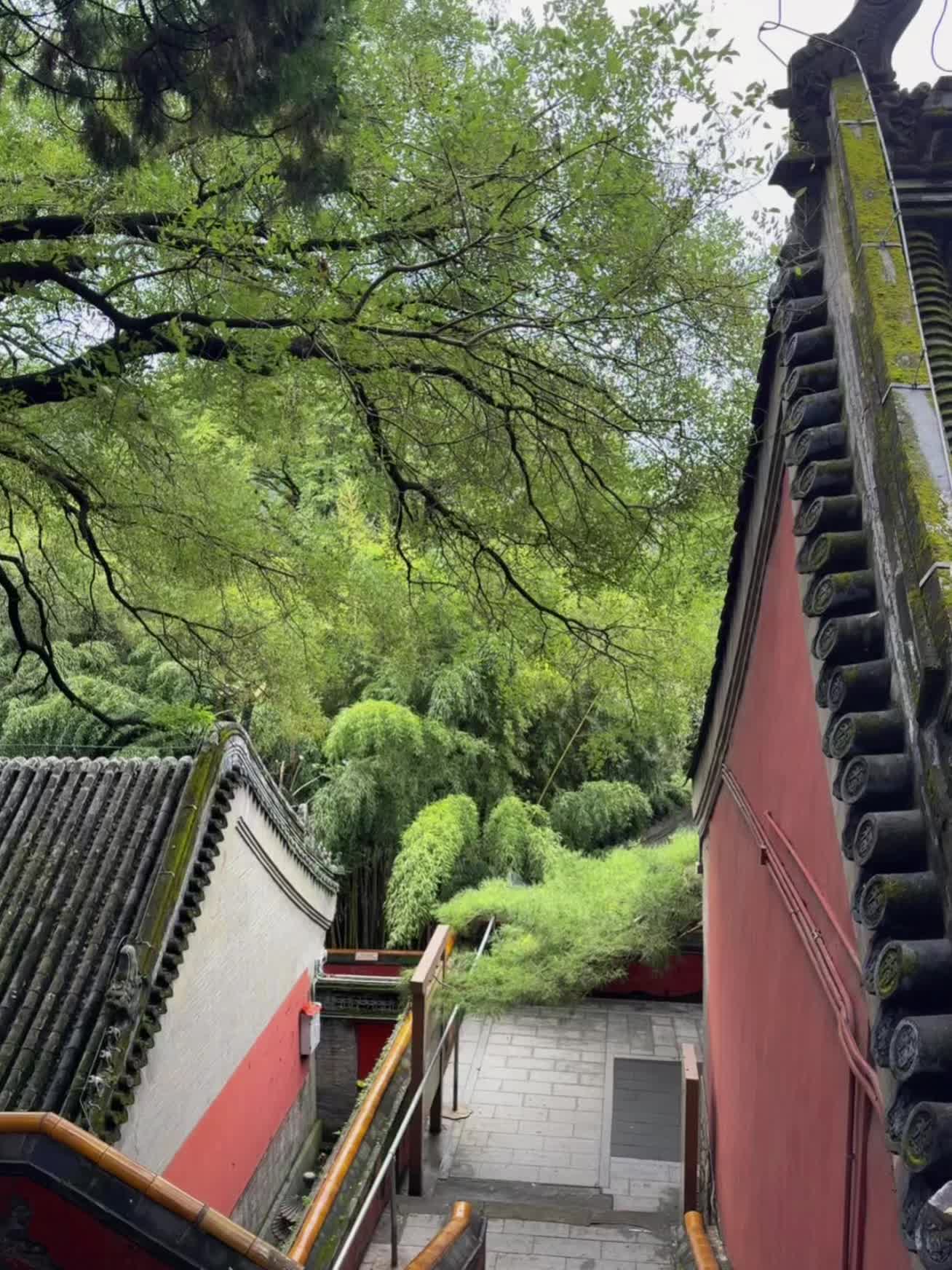 祈福 素斋 #潭柘寺