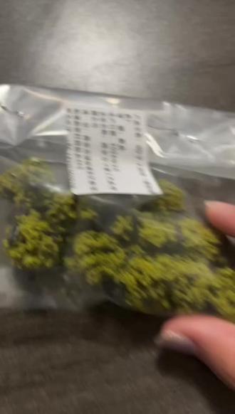 付款时比谁都精#草本植物 #英子模仿大赛
