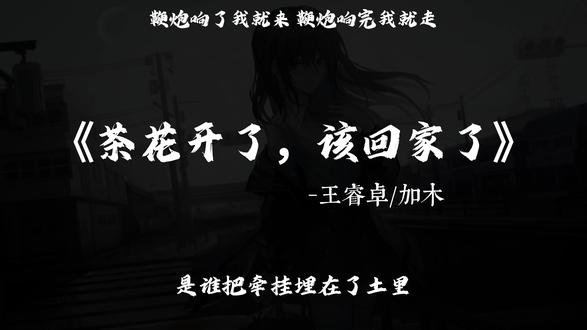 故乡没有春夏秋 鞭炮响了我就来 鞭炮响完我就走 #茶花开了该回家了 #音乐推荐 #加木 #王睿卓