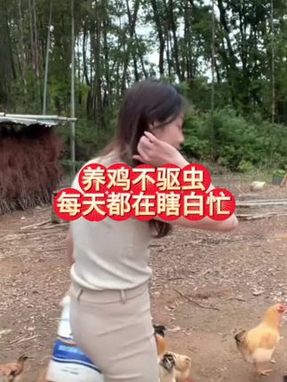 养鸡不驱虫,每天都在瞎白忙 #生态散养土鸡 #散养土鸡蛋 #农村散养土鸡 #散养鸡 #农村土鸡