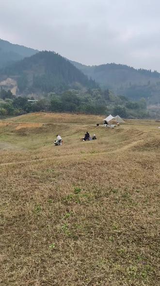 来哟,鱼背岛挖一支箭#挖一支箭哟