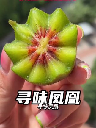 寻味凤凰:沈从文笔下的古城里,藏着一颗“红心”甜意#红心猕猴桃 #新鲜应季水果 #吃货