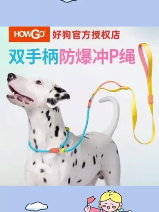 P绳选不对,遛狗两行泪!#这才是正确遛狗方式 #howgo #p绳牵引绳 #P绳 #防爆冲牵引绳