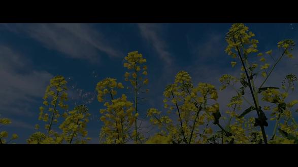 小手拉大手 文明行为顶呱呱