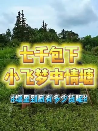 #小飞哥#包塘#三农#乡村守护人# 我的乡村生活