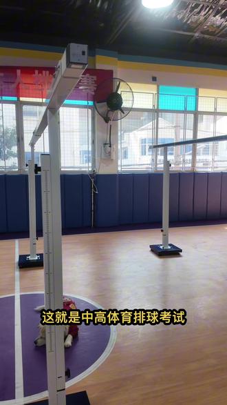 湘潭中考体育考试测试的仪器是什么样子?#体育中考 #中考体育 #排球 #跳绳 #湘潭