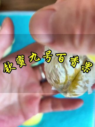 百香果 礼盒装果园现摘当季百香果果王 香甜多汁 新鲜美味水果 顺丰包邮#美食 #应季水果 #快来一起尝个鲜 #强烈推荐 #百香果 @DOU+小助手