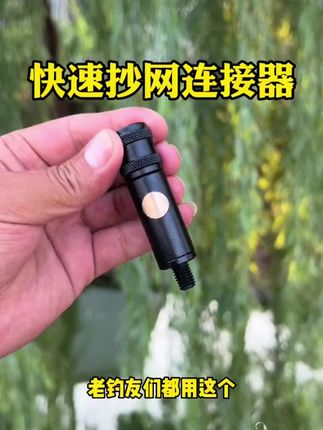 稳定币是什么? 它真的“稳定”吗? #经济学知识看世界 #掘金计划2025 #稳定币 #财经