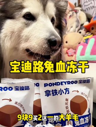 辣椒真的很爱吃#我和我的狗 #萌宠