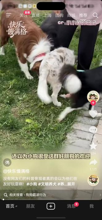 突然体会当妈的心,只恨自己不能多读懂一些。和🥔聊完它往我怀里钻的时候眼泪真的刷一下就下来了,原来我的宝宝在我眼皮下受了委屈,我还看不懂在那边录视频。