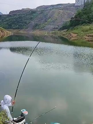 中西青峰鲢鳙线组无结无损主线成品鱼线鲢鳙专业版升级款超强拉力