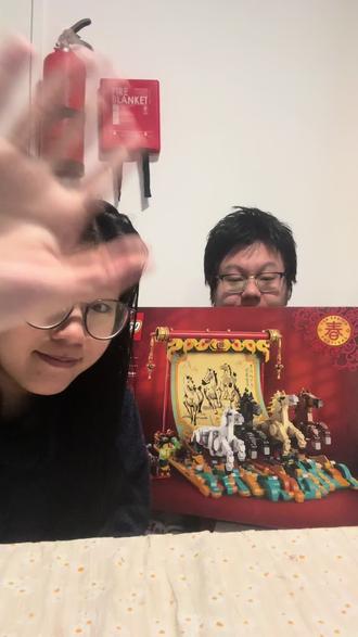 历时一年的乐高拼搭#legao #马年
#马到成功见者发财