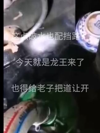 大雨过后 先干之处 夏季正午,雾腾之处 大雪过后 先融之处 挖士三尺,五彩之处 清晨上山 见雾之处 四周干枯,青草之处 周围烧光 没烧之处. 蛇虫那涼,长息之处
