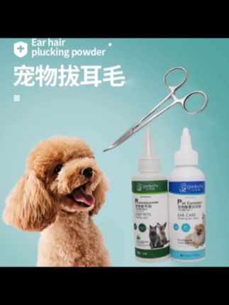 想把狗子养的干干净净的,你得学会很多小技能,比如洗耳朵,你会吗?😄😄#萌宠好物推荐 #宠物用品 #萌宠必备#新手养狗 #科学养宠攻略