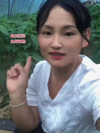 #虫害防治 #菜青虫#肉虫 等顽固害虫 虫卵双杀持效期长#辣椒种植