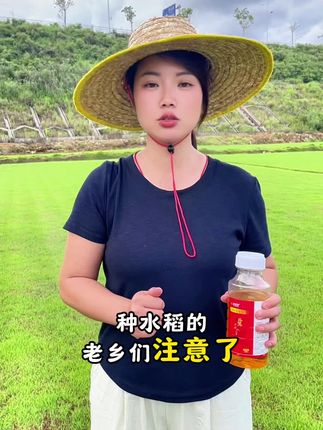 #三农 #水稻种植 #分享三农知识帮农民增产增收 #水稻虫害防治