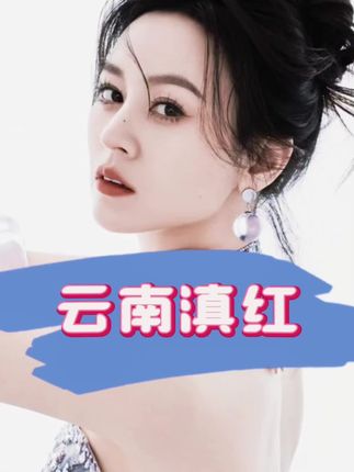 【唐艺专属】诸子红 密香滇红500g*1袋TY#唐艺 #唐艺大舞台 #唐艺推荐 #云南滇红 #滇红红茶