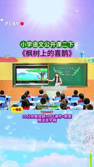 语文二下《枫树上的喜鹊》 一等奖 Y204407(39上课视频+PPT课件+教案+赠逐字稿)小学语文老师必看的精品示范课✨完整课堂实录+教学环节设计,朗读、识字、阅读理解一站式教学,课堂氛围感拉满,教学效果超棒,备课、参赛直接参考,省心又好用#小学语文 #课堂实录 #公开课 #新课标
