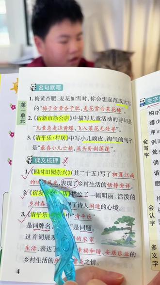 #四年级下册 语文第一课古诗三首知识点总结,这本#学霸速记 把一个学期需要掌握的重点都整理好了,新学期用来晨读预习很方便#小学语文#知识点总结#四年级语文