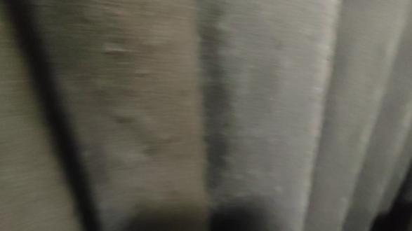 还是有胆子大的#太原禁炮