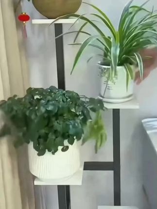 阳台花盆堆满地?滑轮款阳台铁艺花架超省空间!多层收纳还能推,浇花超方便!#花架 #花卉绿植 #居家好物 #上热门 #创作灵感 @DOU+小助手 @DOU+上热门 @抖音精选小助手