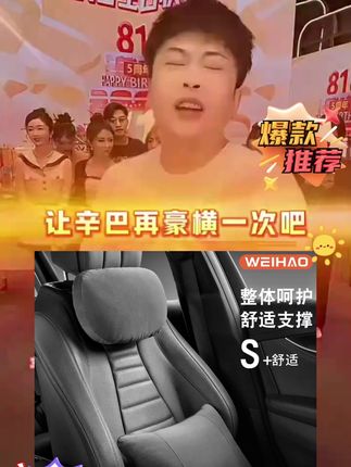 #汽车腰靠 #靠垫  #辛巴  #辛选   #辛选818