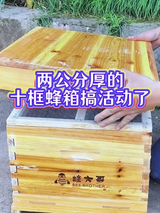 两厘米厚的十框蜂箱搞活动了 #蜂箱 #十框蜂箱
