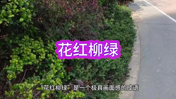 学习成语增长知识,我每天给你更新