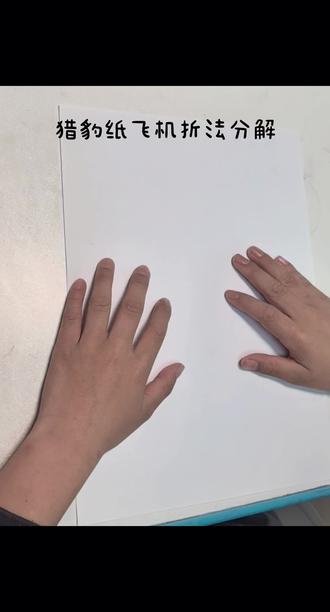 猎豹纸飞机分解折法。#展示你的手工diy成果
