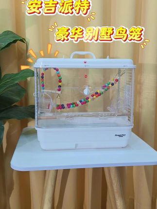 家里养鹦鹉?这款豪华鸟笼包邮到家太方便了! 今天有位客人来买小鸟了!他选了一只特别可爱的小鸟!还买了这个小窝!#安吉派特 #安吉派特鸟笼 #安吉派特豪华别墅笼 #鸟笼推荐