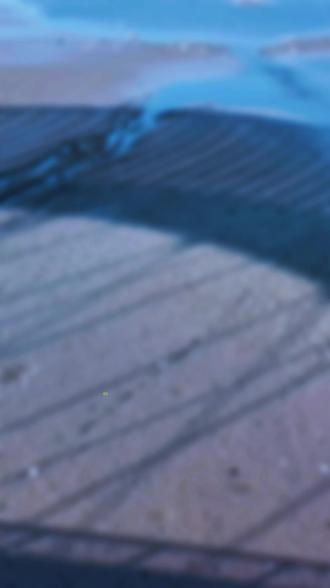 汾河清淤 大鱼小鱼乌龟都嗝屁了#汾河