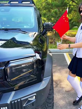 #五星红旗车载 #车贴 #国产之光 #汽车好物推荐