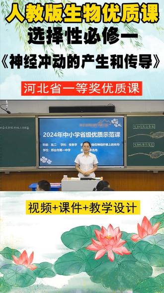 人教版生物选择性必修一《神经冲动的产生和传导(第一课时)》河北申老师优质课