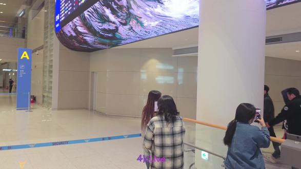 260202 希澈结束SMTOWN福冈演出后 ,仁川机场入境 cr.@4KLive #金希澈 #superjunior