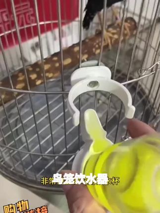 【宠大条】鹦鹉多功能外出包带食盒喂水器鸟笼玄风牡丹虎皮外出笼#原创视频 #日常生活 #迎接新生命 #鹦鹉