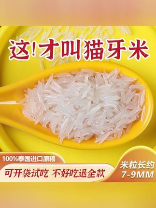 泰国香米正宗猫牙长粒香米原粮进口茉莉香颗粒梯田新大米10斤5斤#猫牙米#泰国香米#长粒香米#大米#长粒香大米
