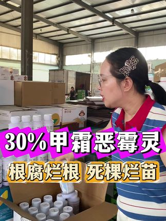 30%高含量#甲霜恶霉灵,防治根腐烂根黑根沤根等土传病害,促进生根提高作物抗逆性