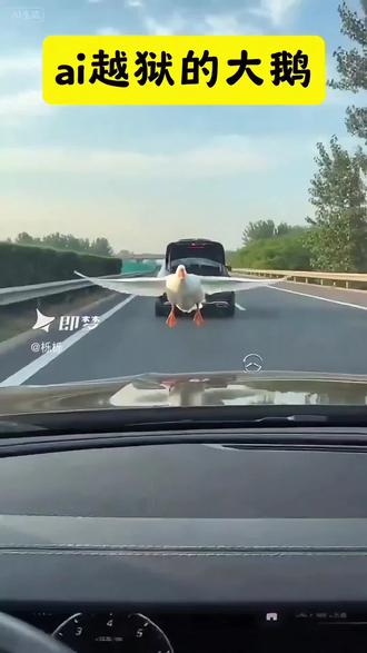 越狱的大鹅#即梦AI #Seedance2.0 #AI分身戏精大赛 #我的AI分身杀疯了