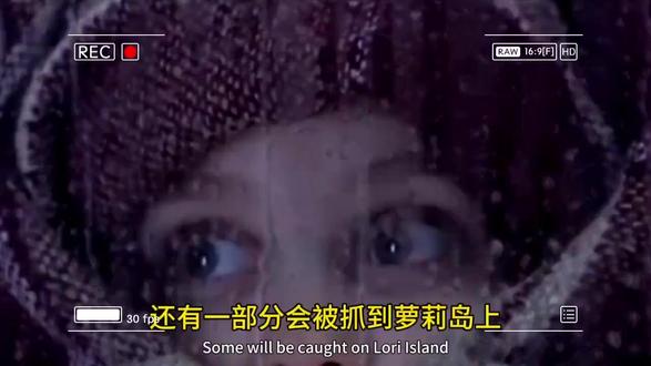 #萝莉岛上的小女孩#斯奎奇大王#牢A