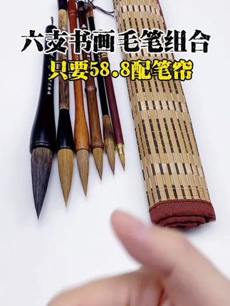58.8到手六支书画作品套装毛笔,宜书宜画,喜欢的书友可以试试 #楷书  #毛笔字  #书法  #行书#国画