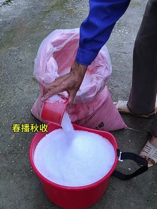 背负式摘果捅#洒肥料桶#农用工具#农村生活